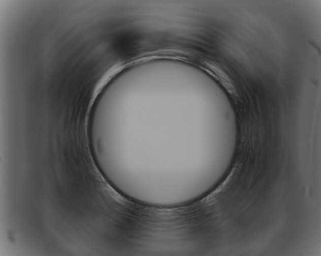 X0000093431180200710120911