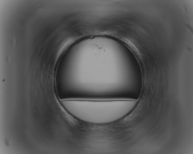 X0000093431183200710120911