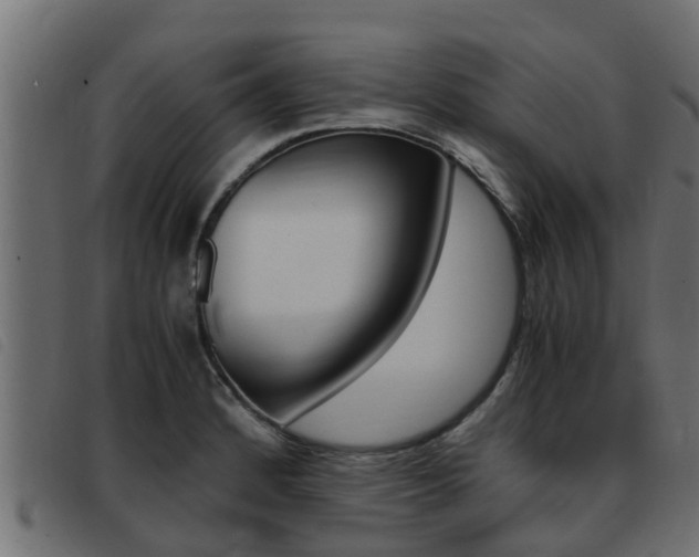X0000093431184200710120911