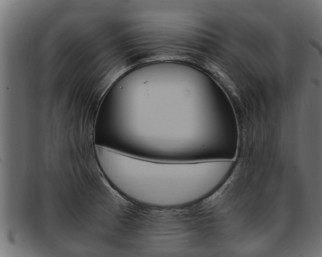 X0000093431185200710120911
