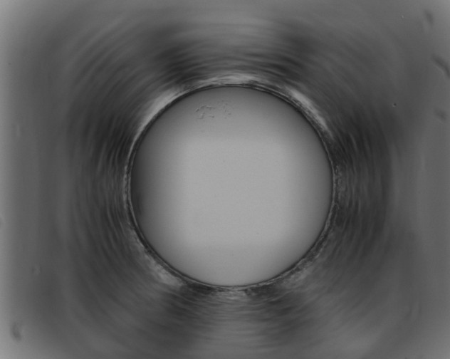 X0000093431186200710120911