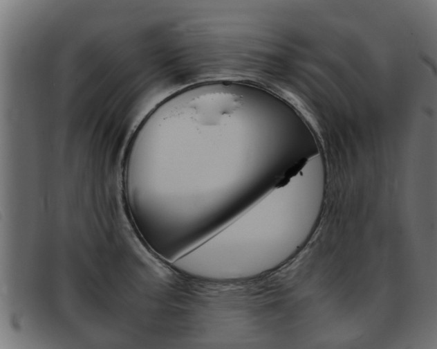 X0000093431187200710120911