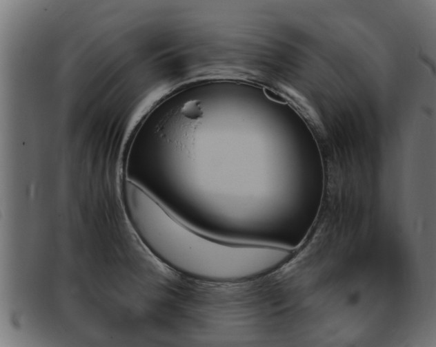X0000093431188200710120911