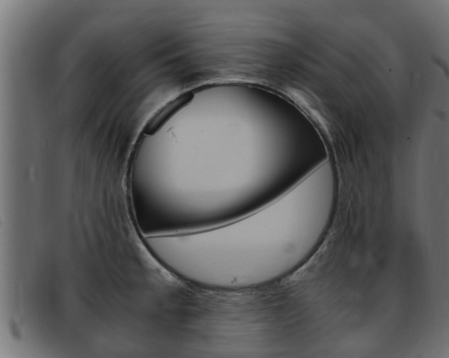 X0000093431189200710120911