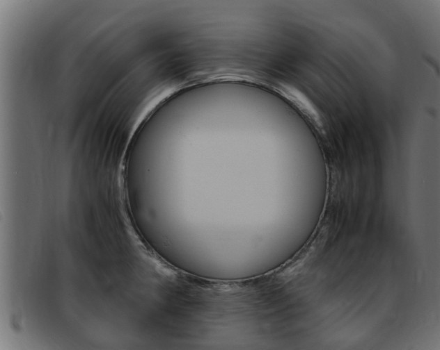 X0000093431190200710120911