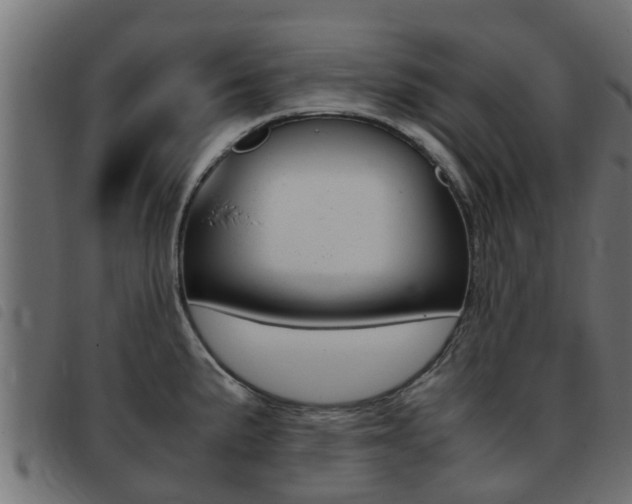 X0000093431191200710120911