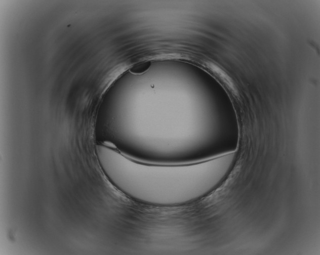 X0000093431193200710120911