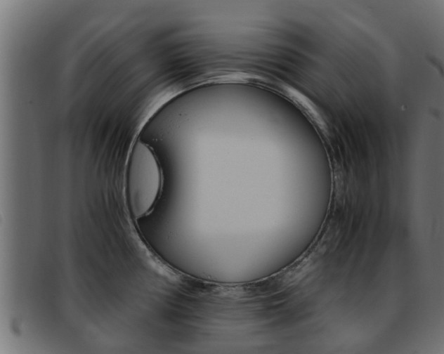 X0000093431194200710120911