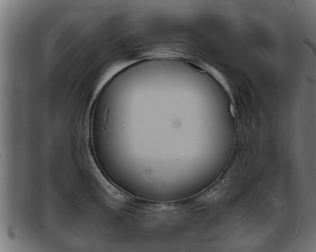 X0000093431195200710120911