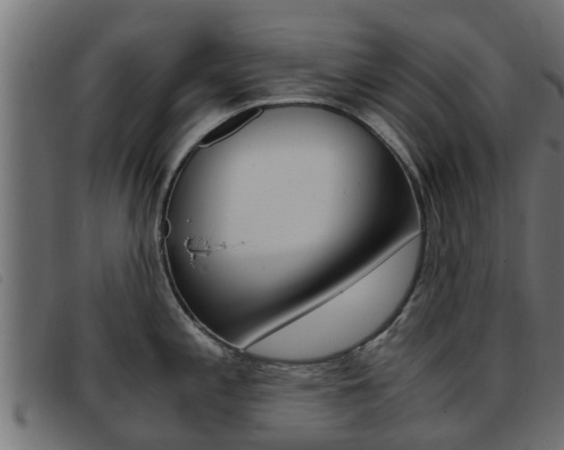 X0000093431197200710120911