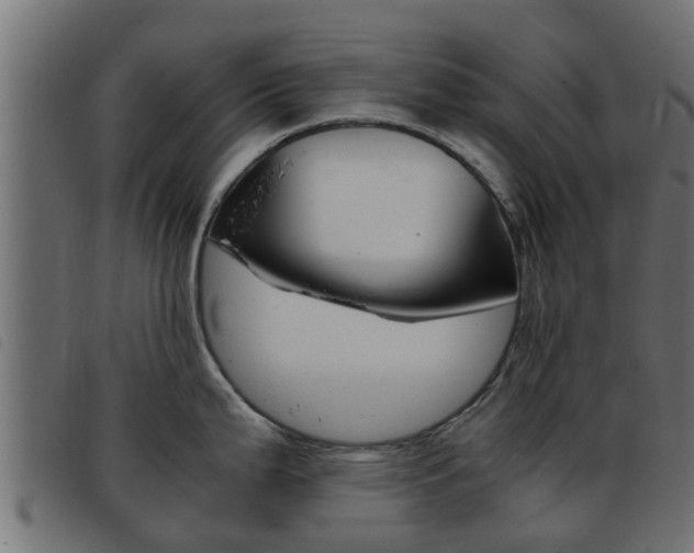 X0000093431199200710120911
