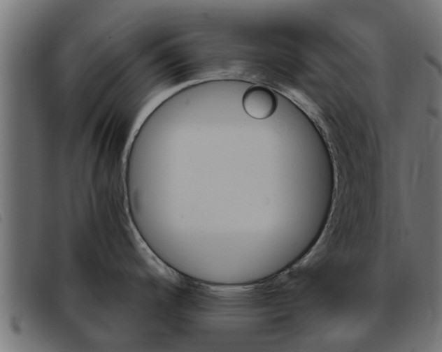 X0000093431200200710120911