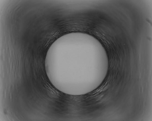 X0000093431202200710120910
