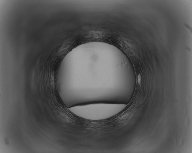 X0000093431203200710120910