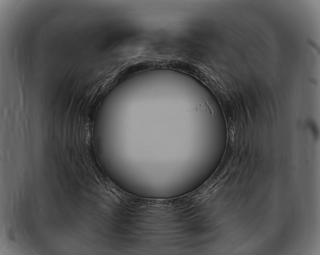 X0000093431204200710120910