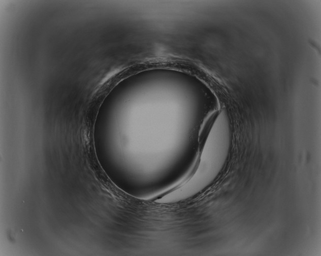 X0000093431206200710120910