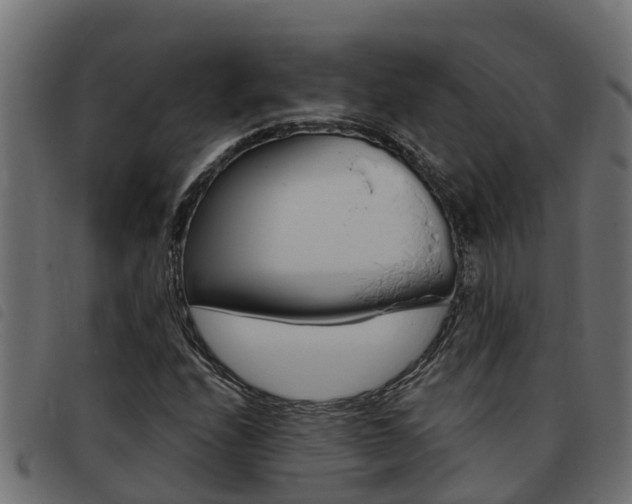 X0000093431208200710120910