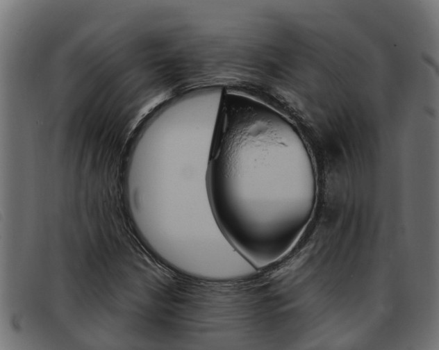 X0000093431210200710120910
