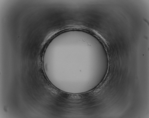 X0000093431215200710120910