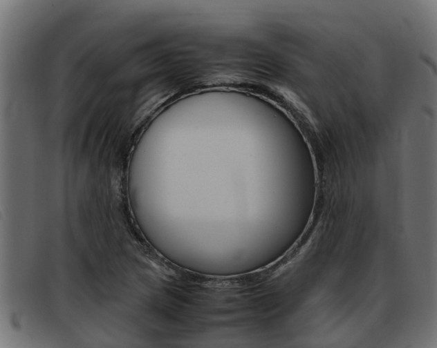 X0000093431217200710120910