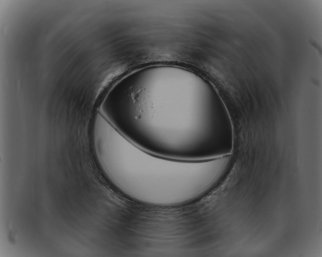 X0000093431218200710120910