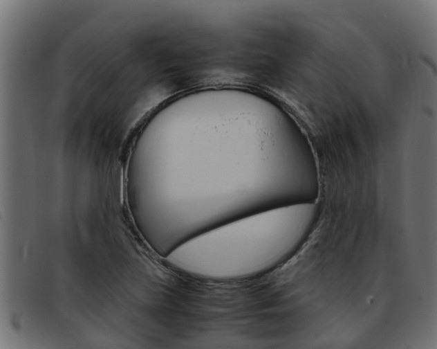 X0000093431219200710120910