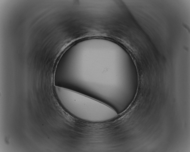 X0000093431220200710120910