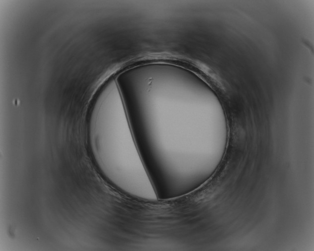 X0000093431221200710120910