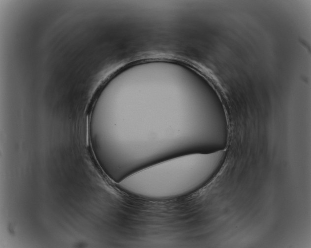 X0000093431223200710120911