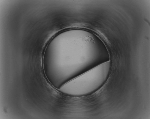 X0000093431224200710120911