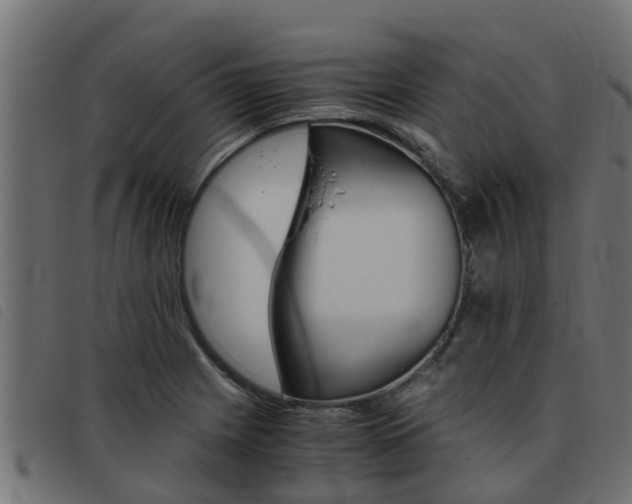 X0000093431225200710120911