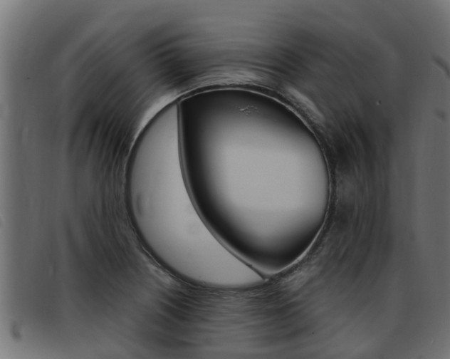 X0000093431226200710120911