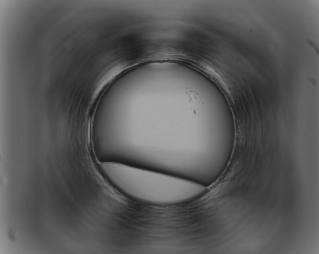X0000093431227200710120911