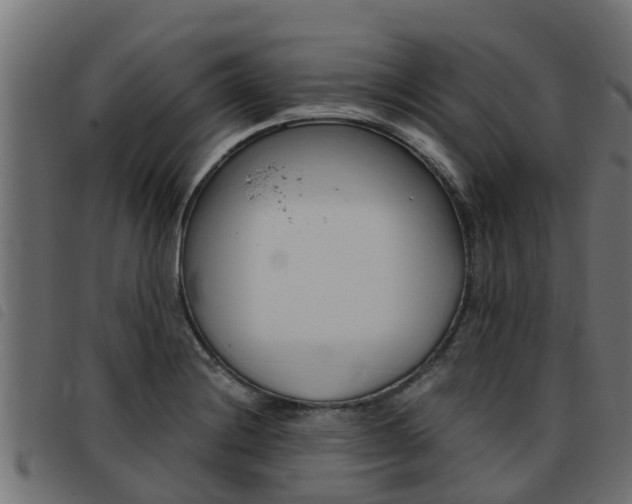 X0000093431228200710120911