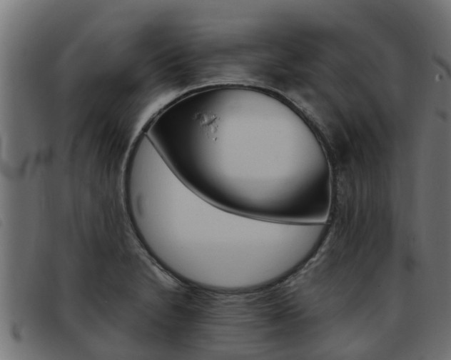 X0000093431230200710120911