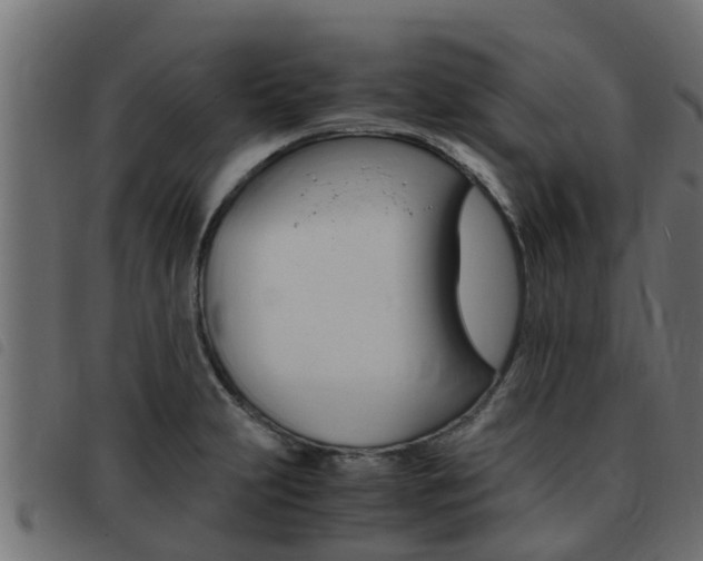 X0000093431231200710120911