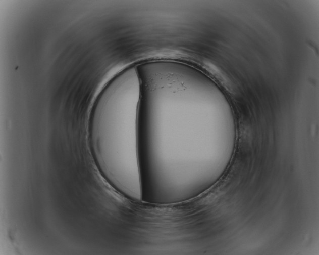 X0000093431232200710120911
