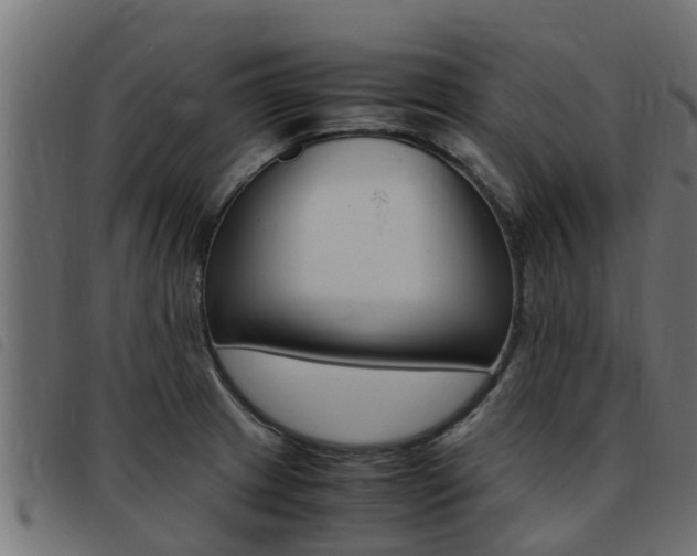 X0000093431233200710120911