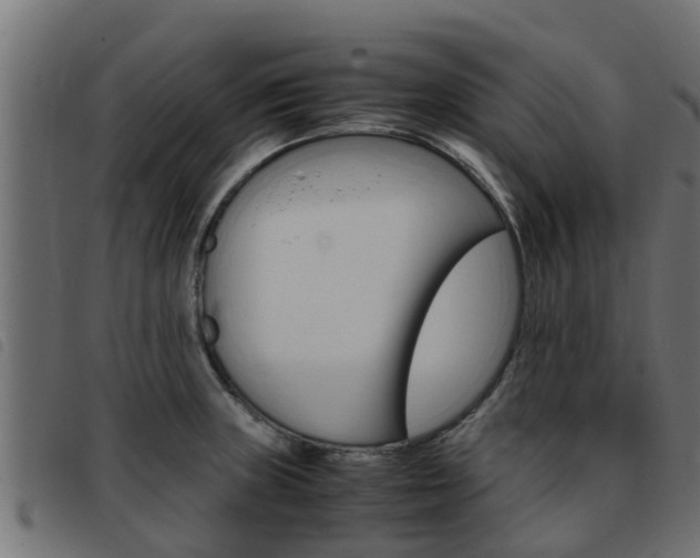 X0000093431235200710120911