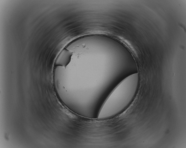 X0000093431236200710120911
