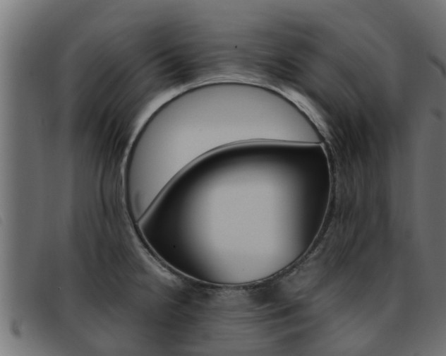 X0000093431238200710120911