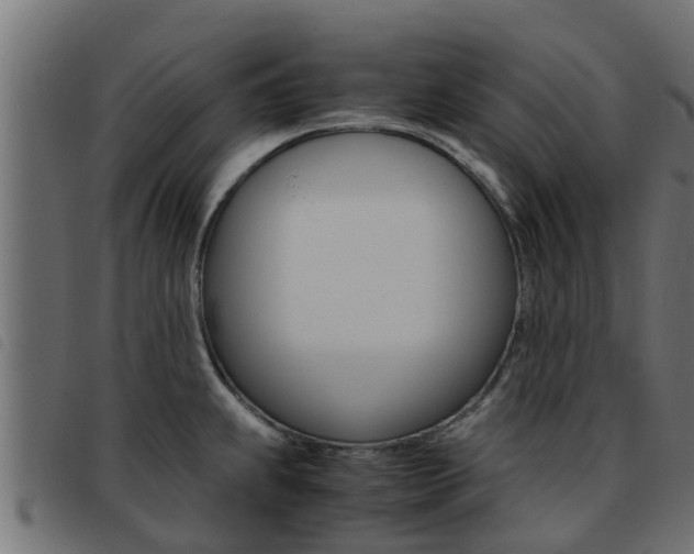 X0000093431239200710120911
