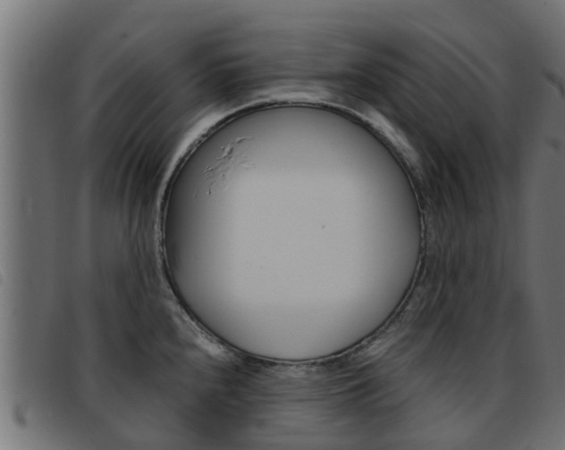 X0000093431240200710120911
