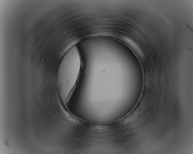 X0000093431241200710120911