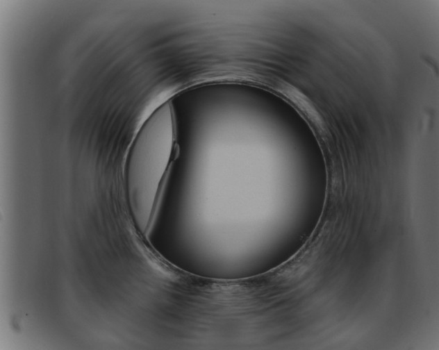 X0000093431242200710120911