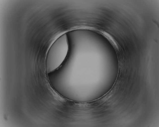 X0000093431244200710120911