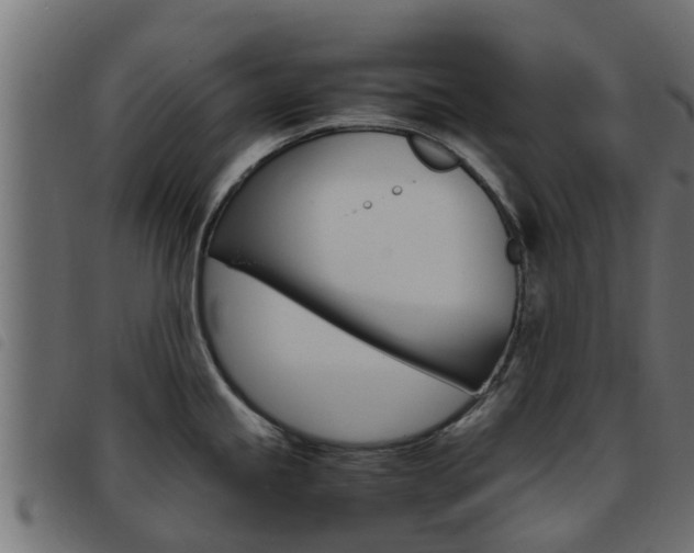 X0000093431245200710120911