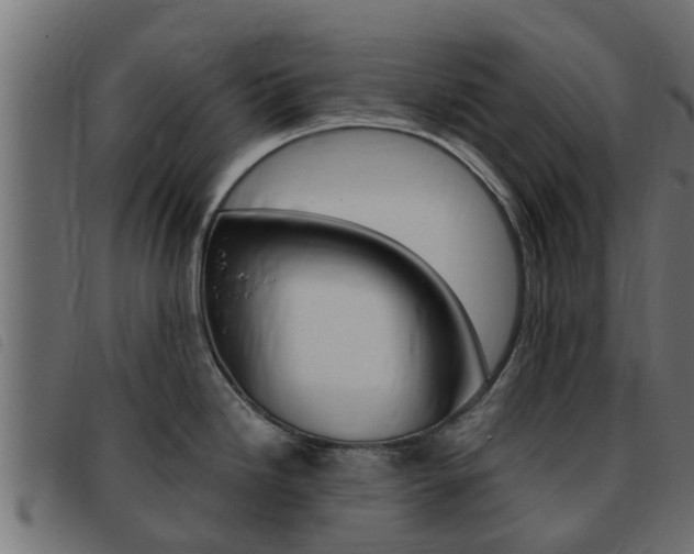 X0000093431246200710120911