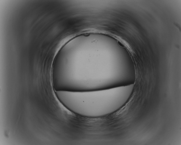 X0000093431247200710120911