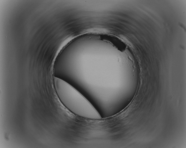 X0000093431248200710120911